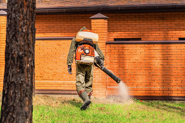 Trusted Cockroach Control service in Yorkville, WI - Nex Pest Control